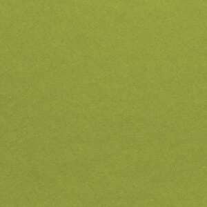 Wild Olive