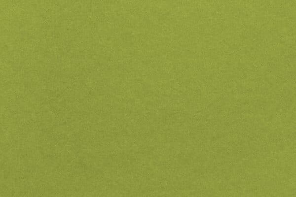 Wild Olive