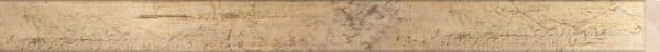 Distanslist 11365 Ayous Champagner